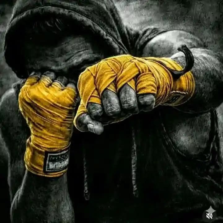 UFC Fight Night 289 Rosas Jr. vs Barcelos